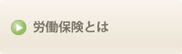 労働保険とは